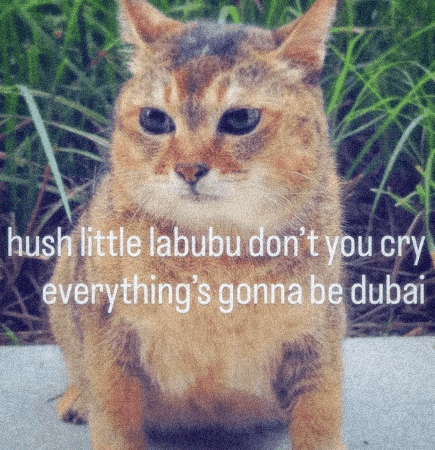 Labubu gif!